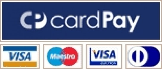 Platba platobnými kartami